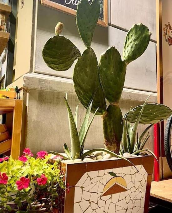 شقة باليرمو  في La Casa Di Eva المظهر الخارجي الصورة
